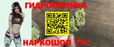 молекула духа Изобильный