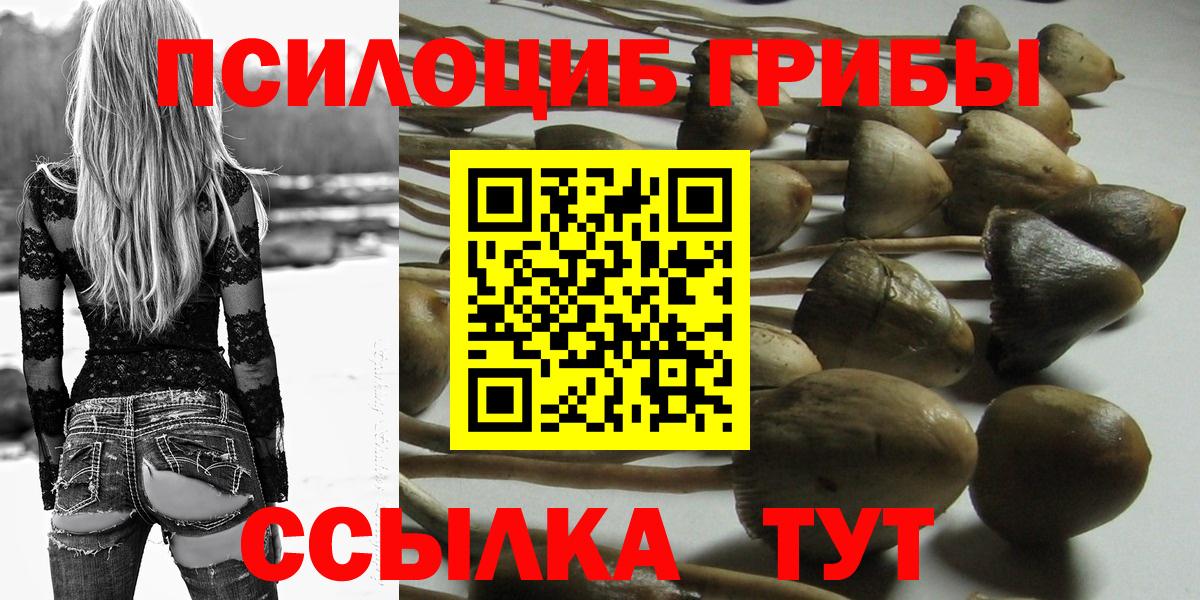 Псилоцибиновые грибы Magic Shrooms Майкоп