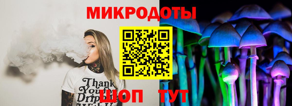 как найти   Псилоцибиновые грибы Cubensis  Вход с VPN  Майкоп 